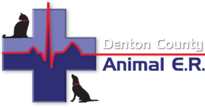 Denton County Animal ER
