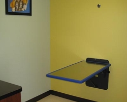 Eldorado Pet Hospital Exam Room