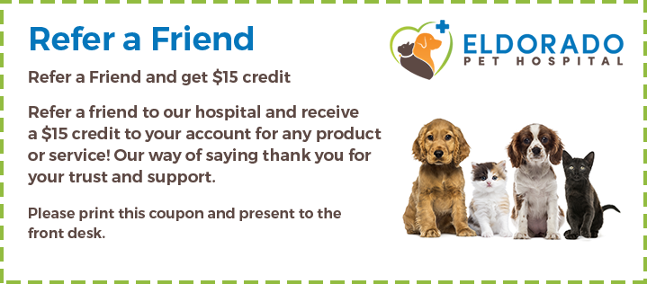 refer a friend coupon