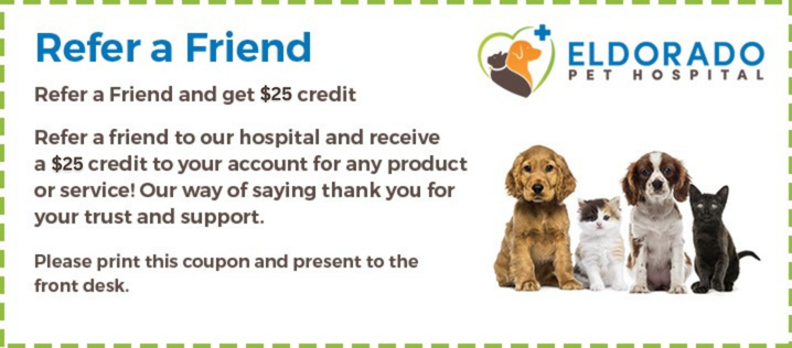 refer a friend coupon